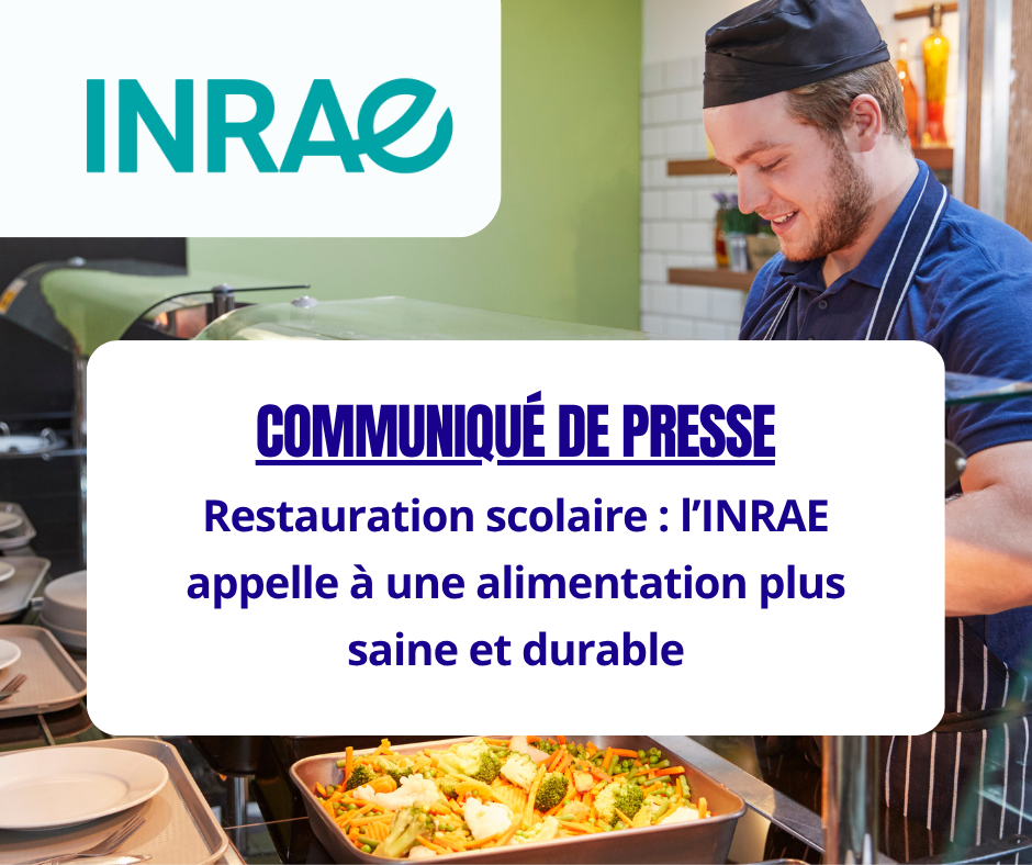 ACTUS - Restauration scolaire : l’INRAE plaide pour une alimentation saine et durable